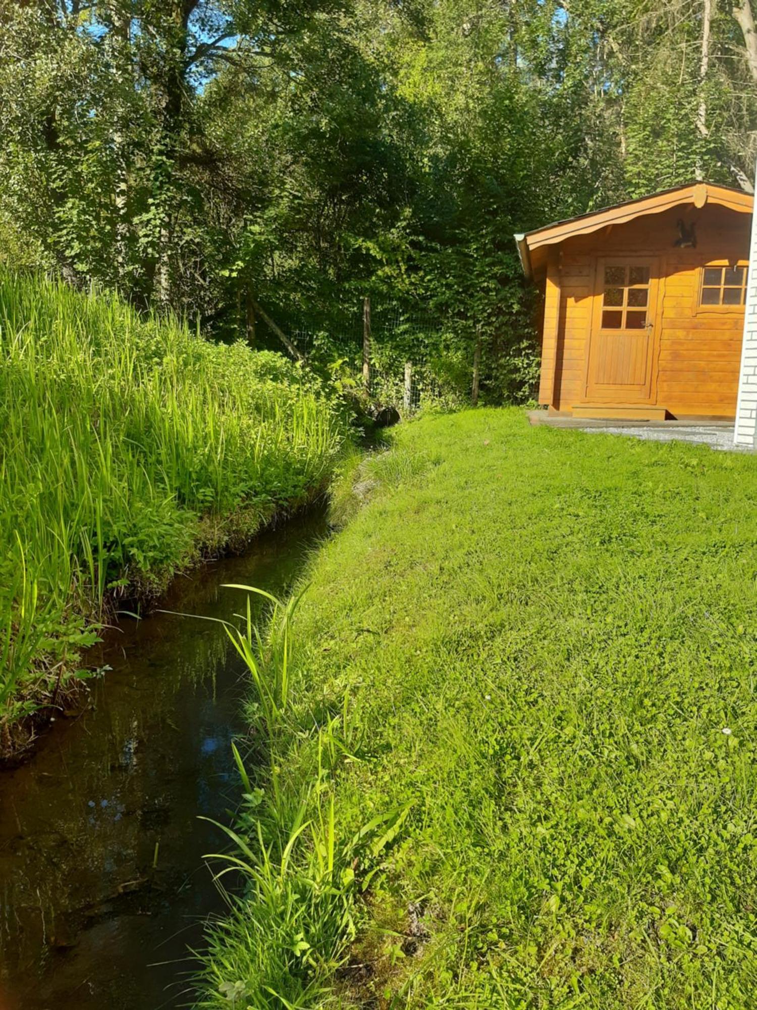 Ferienhaus Aanthuus Brilon Exteriör bild